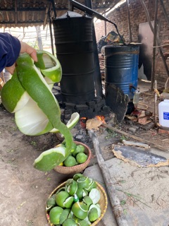 XỊT BƯỞI KÍCH THÍCH MỌC TÓC