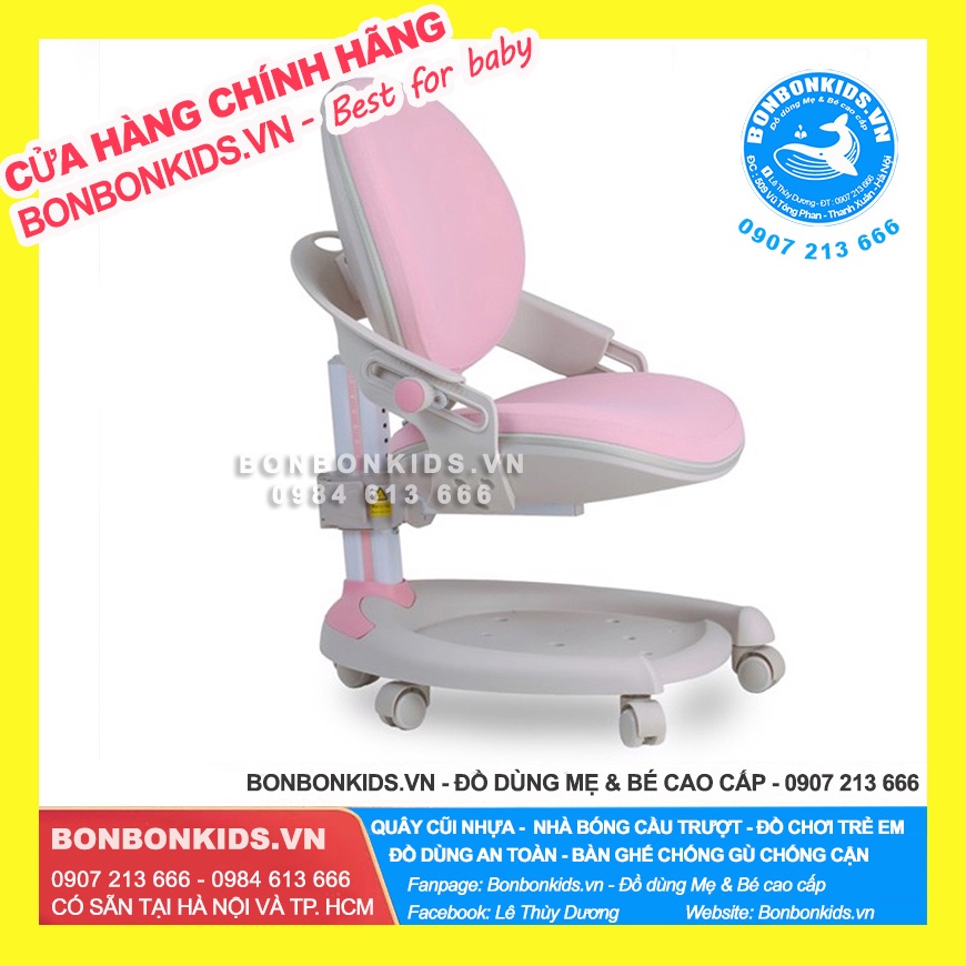 Ghế chống gù  C02  - Ghế học sinh cao cấp