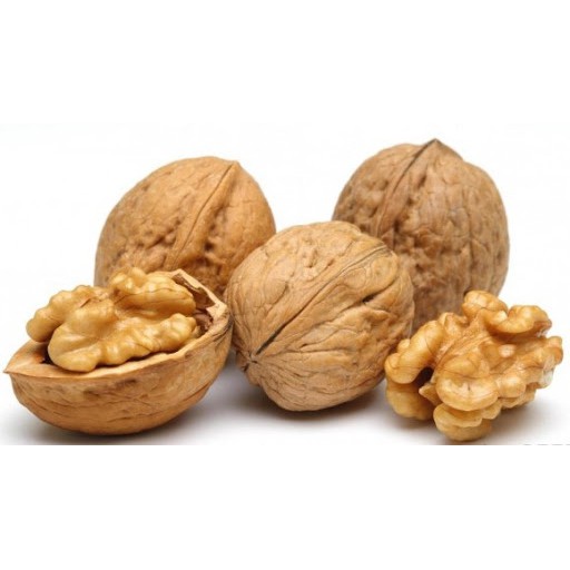 Bột óc chó Trivie