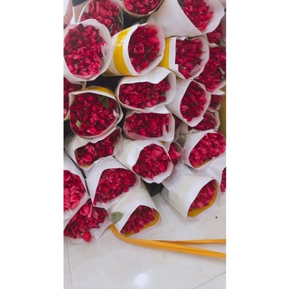 Hoa Hồng Thơm Hà Nội