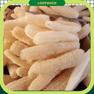 10 trái bông tắm xơ mướp loại mỏng mềm - bông tắm - xơ mướp rửa bát loofahco