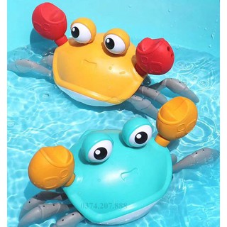 Cua đồ chơi cho bé