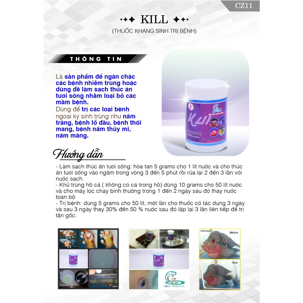 CZ11 KILL - KS Hỗ Trợ Xử Lý Các Vấn Đề của Cá Cảnh