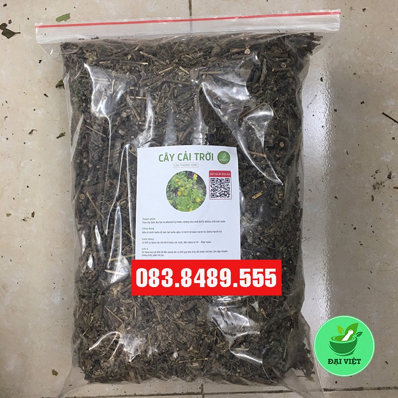 Cây Cải Trời (1kg) – Cực tốt cho người bướu cổ (Bướu giáp) - DV175