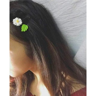 KẸP CÚC HỌA MI ĐỦ LOẠI