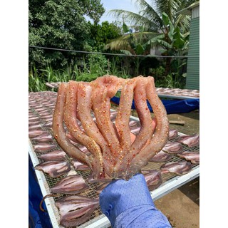 Khô cá lóc 2 nắng món ăn đặc sản An Giang _ đặc sản miền Tây Nam Bộ
