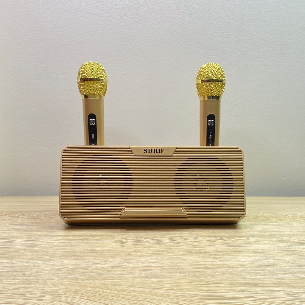 Loa Bluetooth Karaoke SDRD SD-302