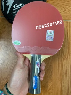 Vợt bóng bàn 729-2040