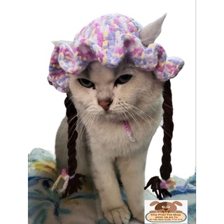 Nón len tai bèo cho chó mèo