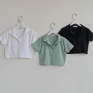 Áo croptop polo đơn giản nhiều màu xinh