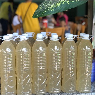 Nước thốt nốt nguyên chất 1,5l