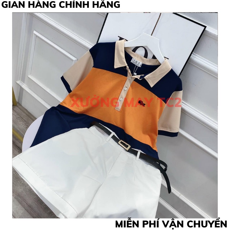Áo Polo Basic Unisex Chất Cotton Phối Cam Thoáng Mát, Áo Thun POLO nhiều màu Thêu Chữ Dáng Rộng Rễ Phối Đồ XƯƠNGMAYTC2