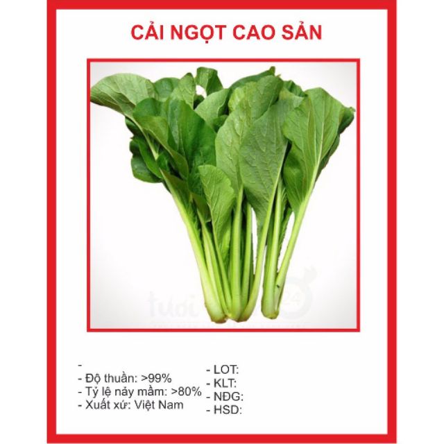 Hạt giống Cải Ngọt 150 hạt