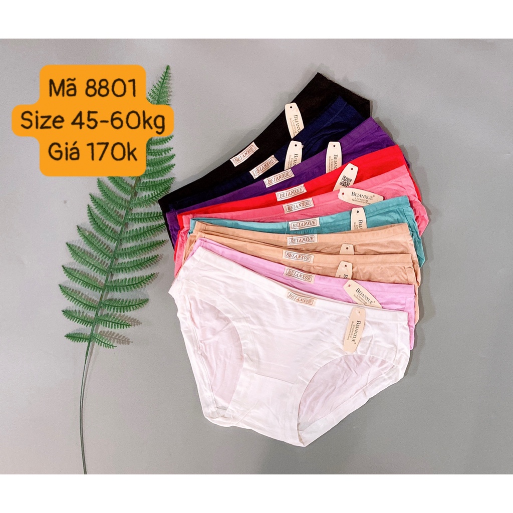 Bộ 10 quần lót cotton mịn mã 8801 từ 45-60kg vừa