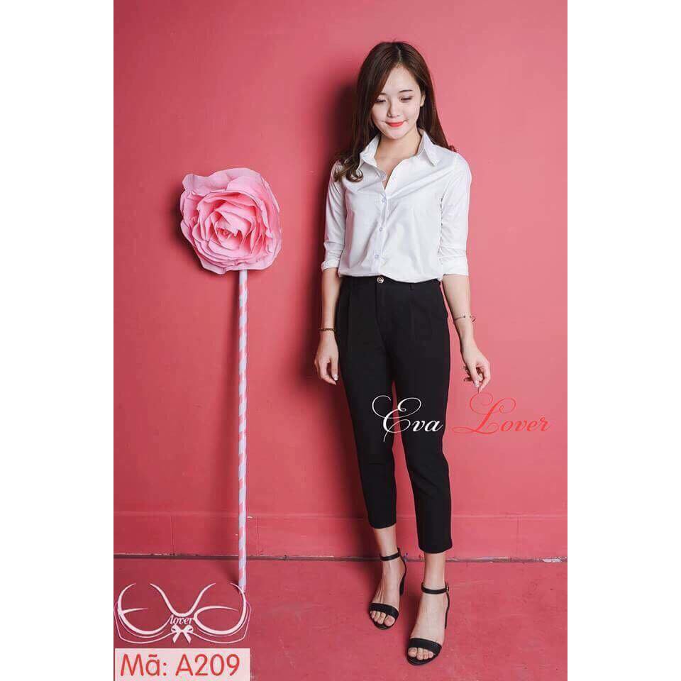 Sơ mi trắng công sở