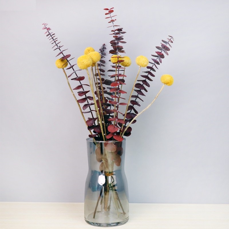 ❤️Hoa Khô - Cành Lá Khuynh Diệp Khô Eucalyptus ❤️ Decor trang trí, phụ kiện chụp ảnh