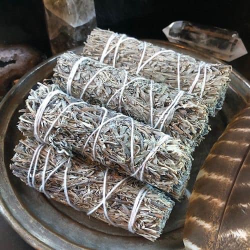 Bó xô thơm trắng white sage size lớn giá siêu tốt