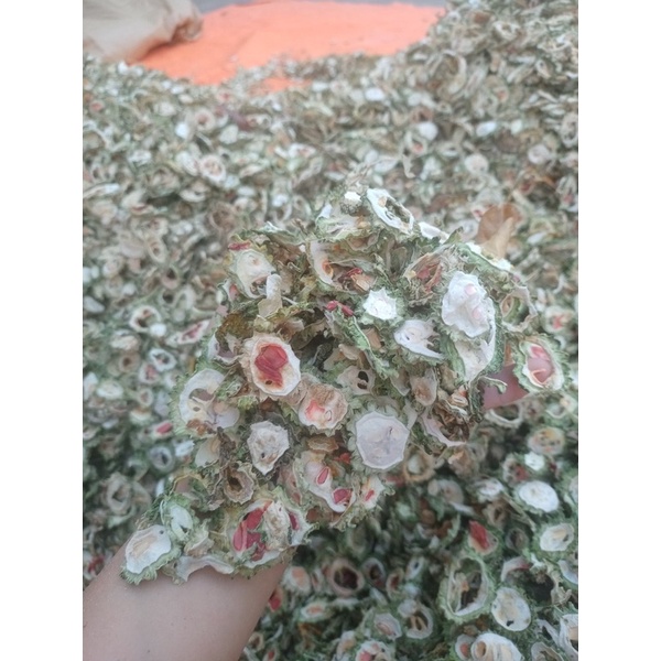 Mướp đắng rừng siêu xanh đẹp 1 kg hàng mới loại 1 khô
