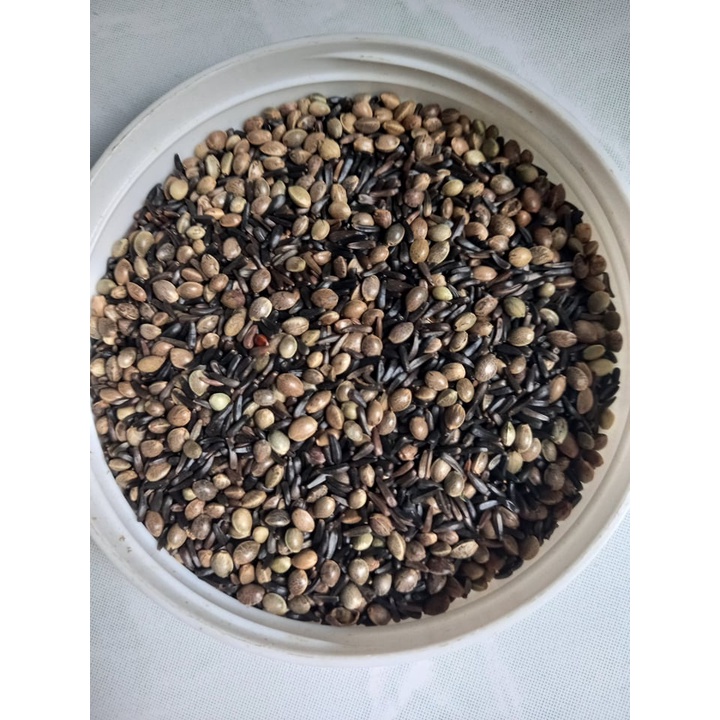 Hỗn hợp hạt gai d.ầu và niger cho chim cảnh tăng cồ, hỗ trợ sinh sản 200gr/32k