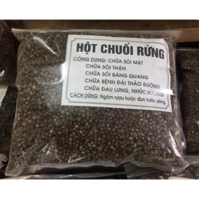 Hột chuối rừng