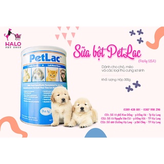 Sữa petlac cho chó mèo hộp 300g