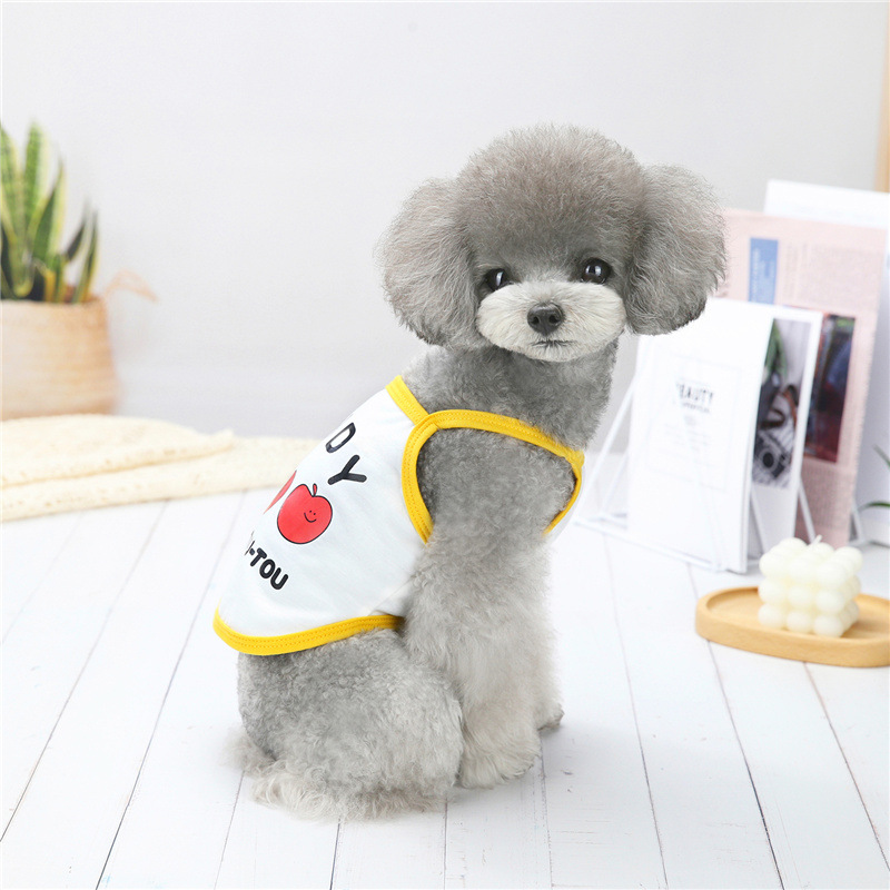 Áo thun mùa hè dễ thương dành cho cún cưng