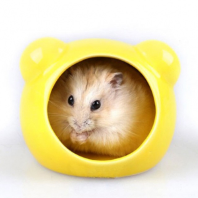 Nhà ngủ hamster - Nhà sứ hình chuột mickey