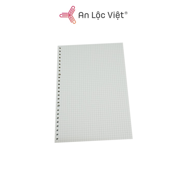 Ruột Sổ Còng B5 120 Trang 26 Lỗ (Line/Blank/Caro)