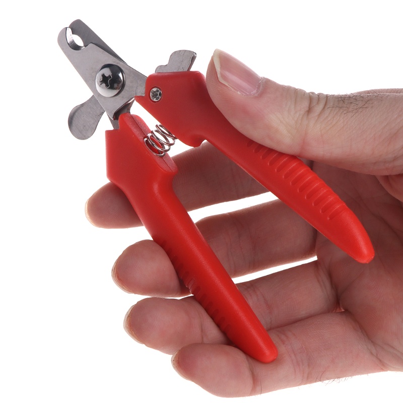 Kềm Cắt Móng Cho Thú Cưng Lưỡi Thép Sắc Bén Kích Thước Nhỏ Dễ Sử Dụng