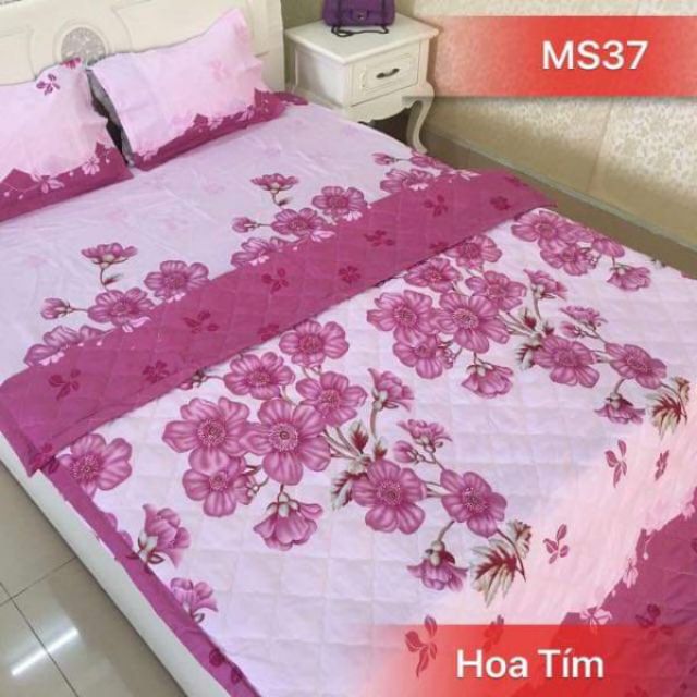 COMBO 1 GA VÀ HAI VỎ GỐI MẪU HEO XANH 1M6