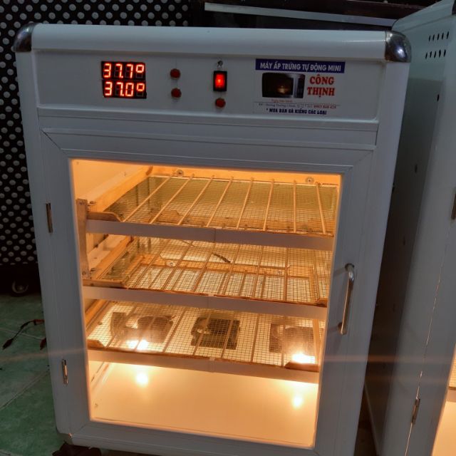 MÁY ẤP TRỨNG TỰ ĐỘNG MINI CÔNG THỊNH
