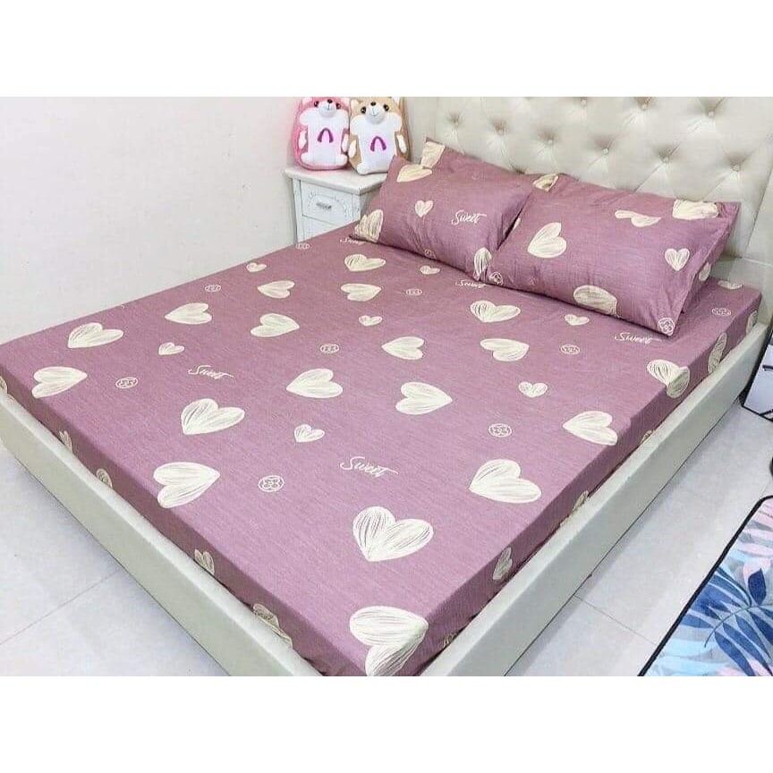 Bộ Ga Gối cotton poly siêu ngộ nghĩnh 1m4x2m và 1m6x2m,chọn mẫu trên bài đăng