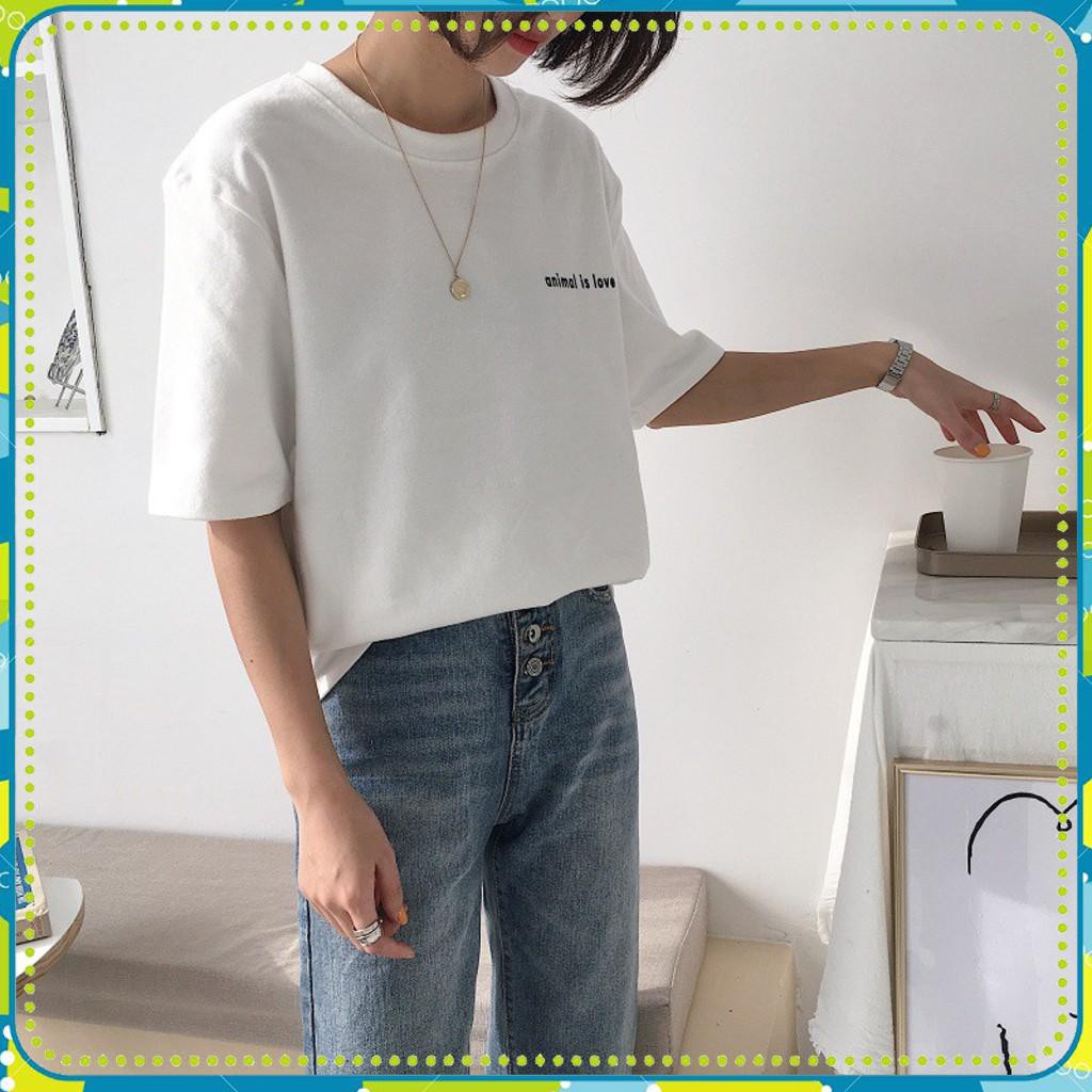 ➡️I-2285 Áo Thun Nữ Tay Lỡ In Logo animal is love Giá Rẻ ✨Áo Phông Bán Chạy ✨Áo Thun Phông Cotton Siêu Đẹp❤
