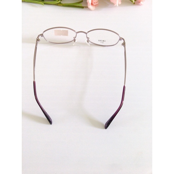 MT3: Gọng kính nội địa Nhật thương hiệu Vanessa, made in China.