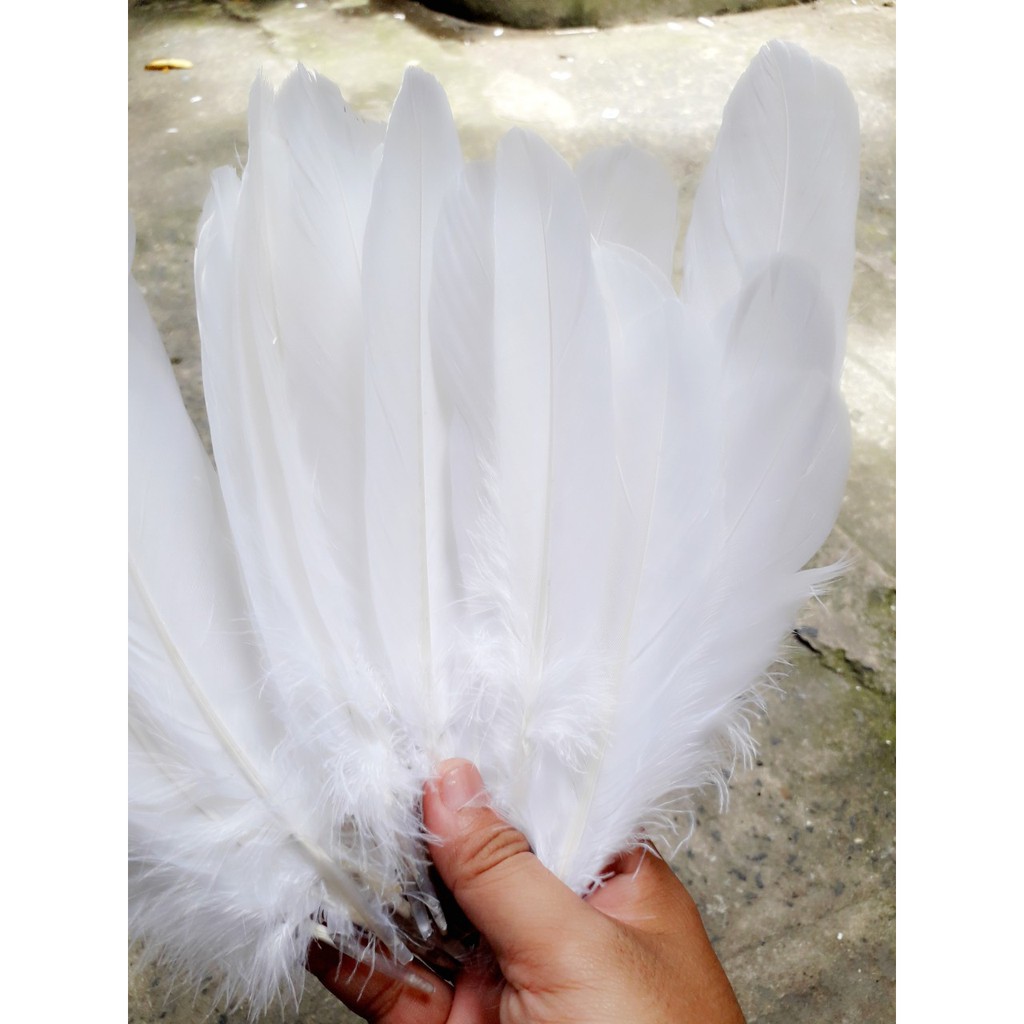 Lông vũ LỚN - màu trắng và đủ màu : 1 bịch 10g khoảng 20 cái