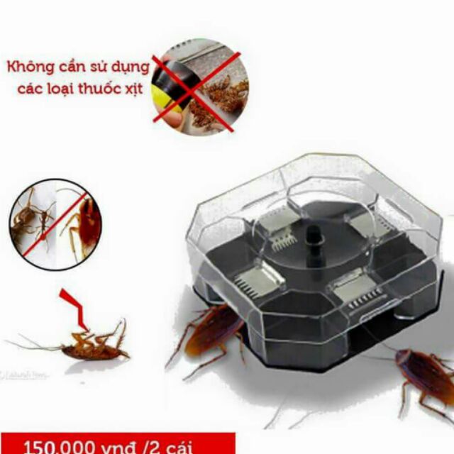 Thiết bị Bắt gián