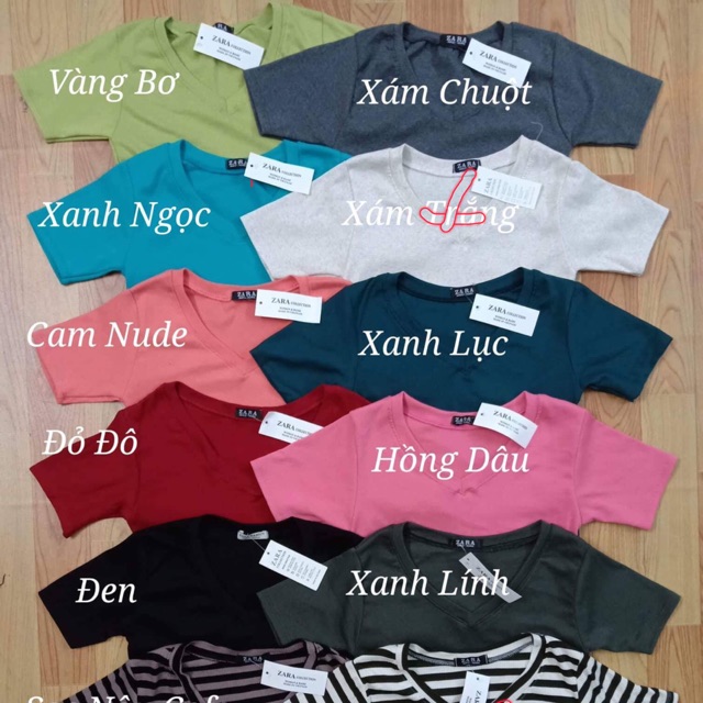 Combo 5 Áo thun zara body