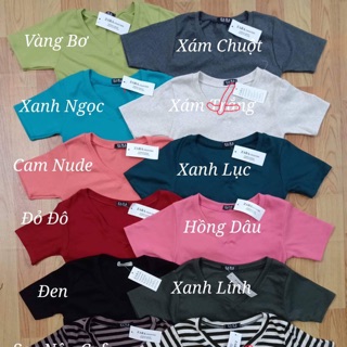 Combo 5 Áo thun zara body