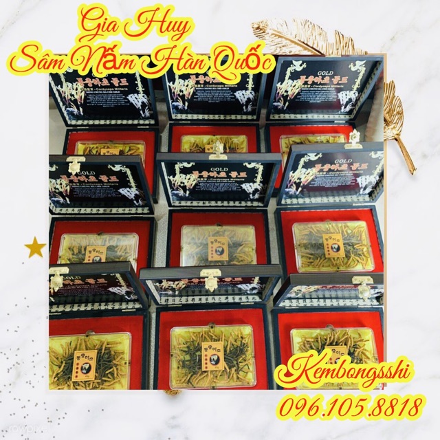 [SỈ TẬN GỐC] ĐÔNG TRÙNG HẠ THẢO HÀN QUỐC, HỘP GỖ 45gr