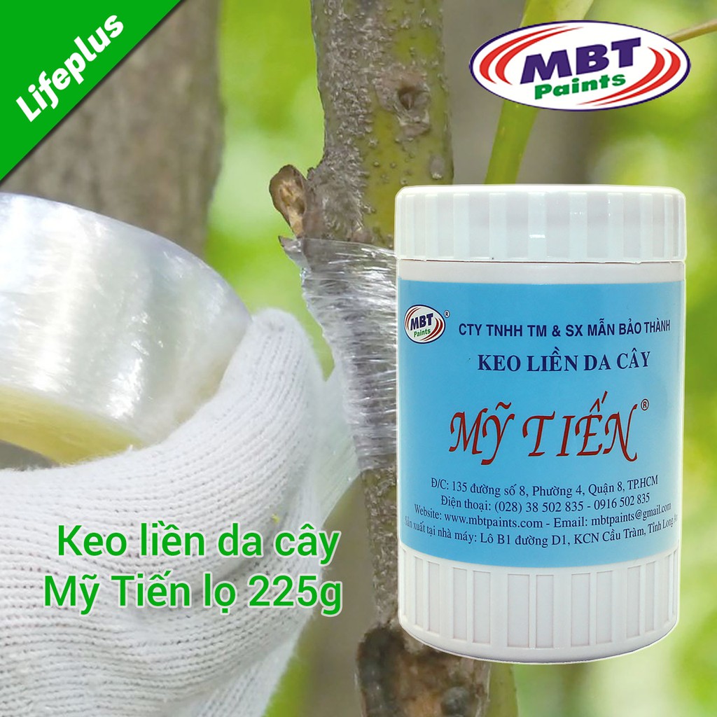 Keo liền da cây Mỹ Tiến lọ 225g