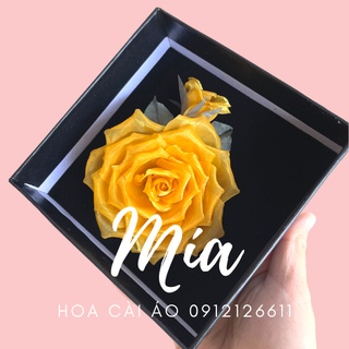 Hoa cài áo hoa cài váy đẹp