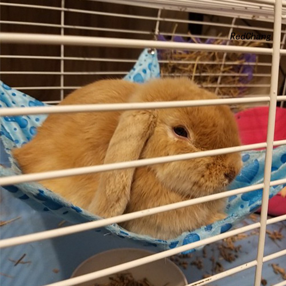 Võng Treo Họa Tiết Trái Tim Dễ Thương Cho Chuột Hamster