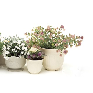 Chậu hoa tròn màu trắng 20cm Nhật Bản