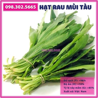 5gr Hạt giống rau ngò gai (mùi tàu, ngò tây, răng cưa) - hạt rau chất lượng tốt, năng suất cao