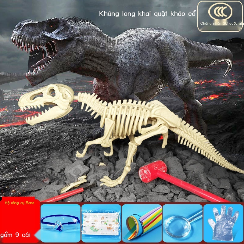 ∏Khủng long khai quật khảo cổ đồ chơi khủng long hóa thạch Tyrannosaurus rex mô hình lắp ráp bộ xương