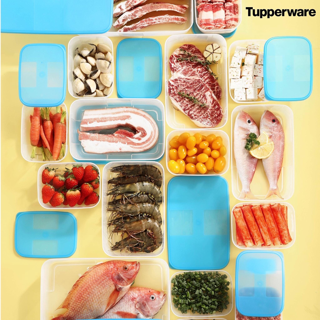 Bộ hộp nhựa đựng thực phẩm ngăn đông Tupperware Freezermate Jumbo set 16, 8, 6, lẻ 3.1l 1.5l 1.2l 650ml 250ml