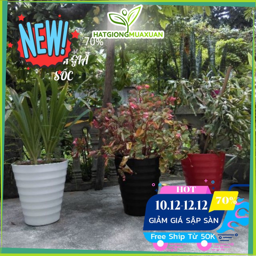 [HOT] (HOT)Combo 10 Chậu nhựa trồng hoa hồng cỡ lớn cao 35 cm rộng 32cm( được chọn mầu) c/lượng, hg C/ty.