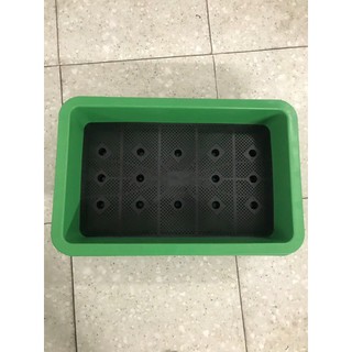 khay nhựa trồng rau