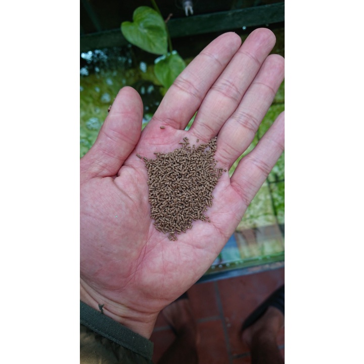 Cám Cá Vàng Hulx Black-Tăng size nhanh, tiêu hóa tốt!