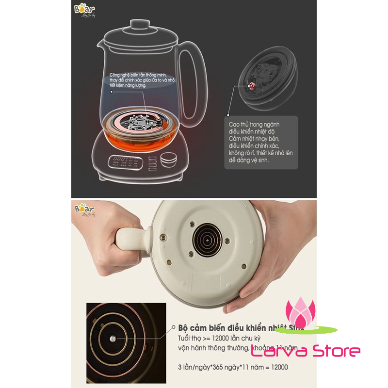 Bình Đun Pha Trà Bear YSH-C15Q5 (SUBE011) - Bản Quốc Tế - Bảo Hành 18 Tháng